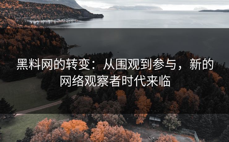 黑料网的转变：从围观到参与，新的网络观察者时代来临