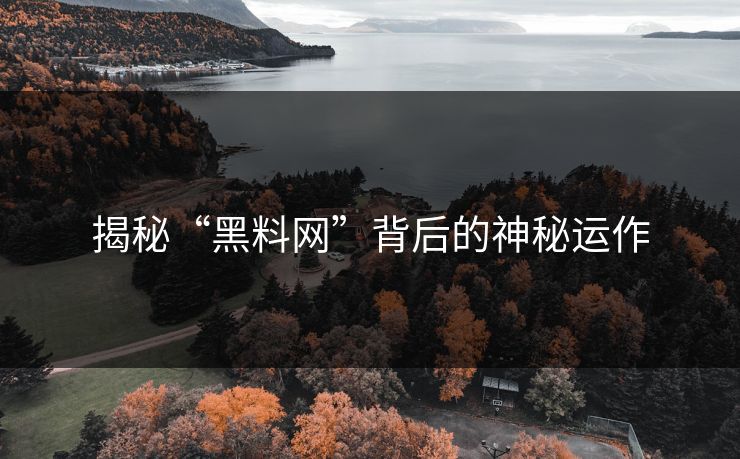 揭秘“黑料网”背后的神秘运作