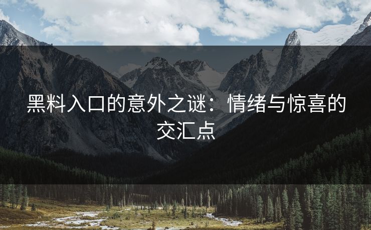 黑料入口的意外之谜：情绪与惊喜的交汇点