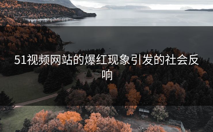 51视频网站的爆红现象引发的社会反响